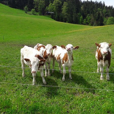 フィーバーブルン Bio-Bauernhof Niederlehenヴィラ エクステリア 写真